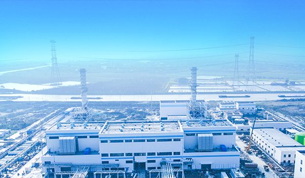 Stake(�й���)�ٷ���վ